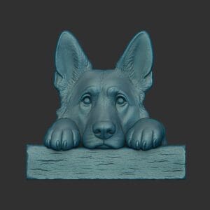 German Shepherd Peek Over Fence